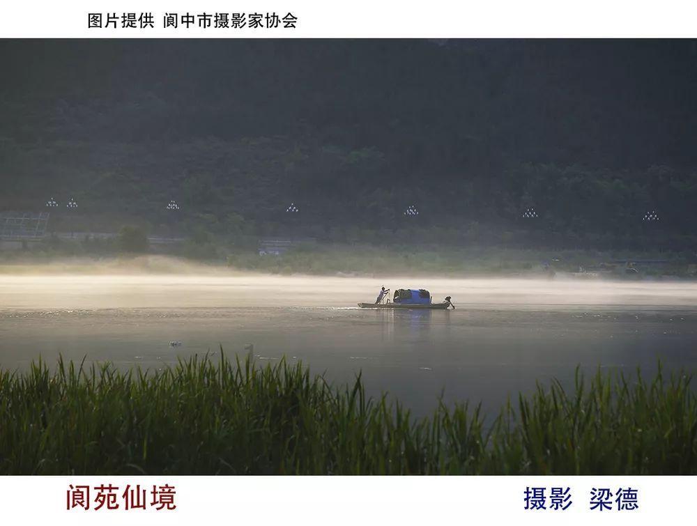射击红色鸟
