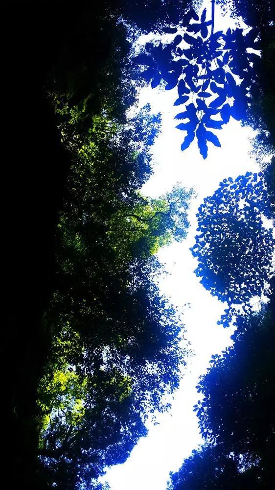 人人动手美化家园、干干净净欢度春节 | 青岛市全面开展环境卫生集中清理行动
