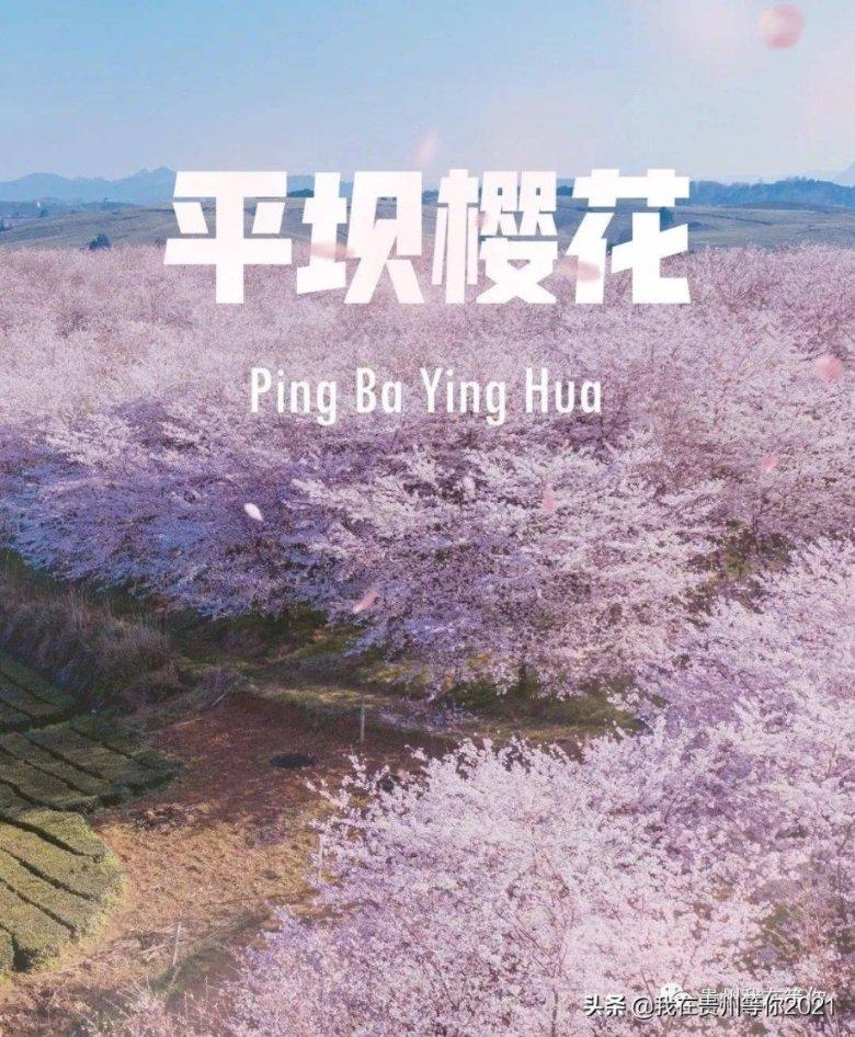 燃烧吧大脑装瓶子游戏