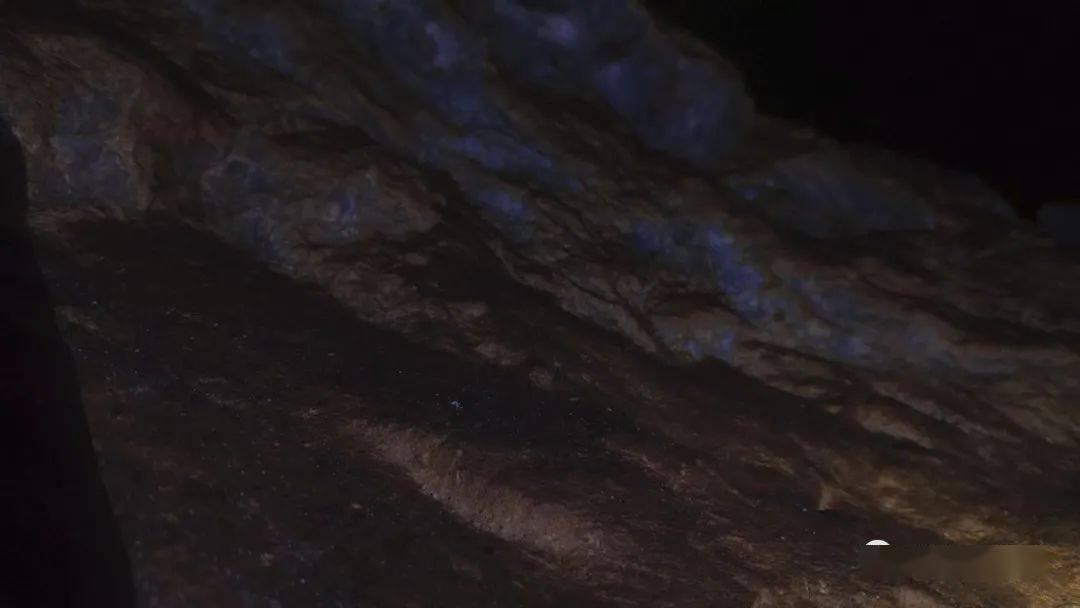 大唐游仙记