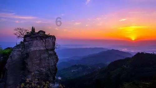 蜂王救援