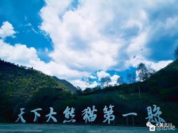 相距不足30米……科研人员和媒体记者野外偶遇东北虎