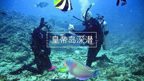 雨后盛放