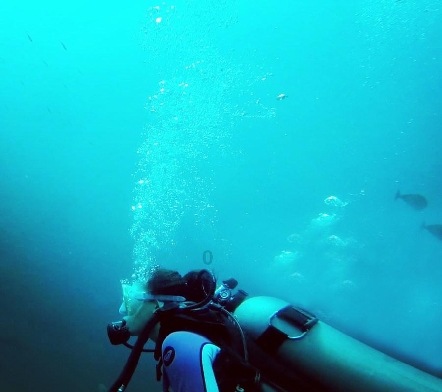 海底世界填颜色5