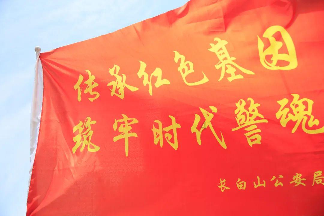 植物大战僵尸反击篇