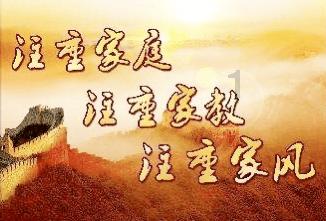 植物大战僵尸11