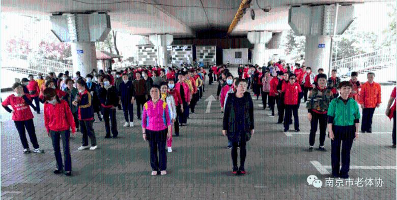 数字时代,如何用数据助力2030联合国目标?| 联合国世界数据论坛提议案征集中