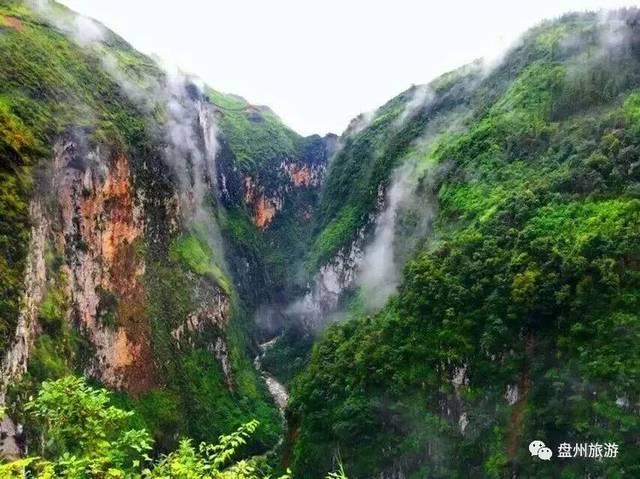 空洞骑士