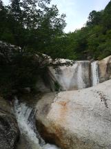 空闲农场