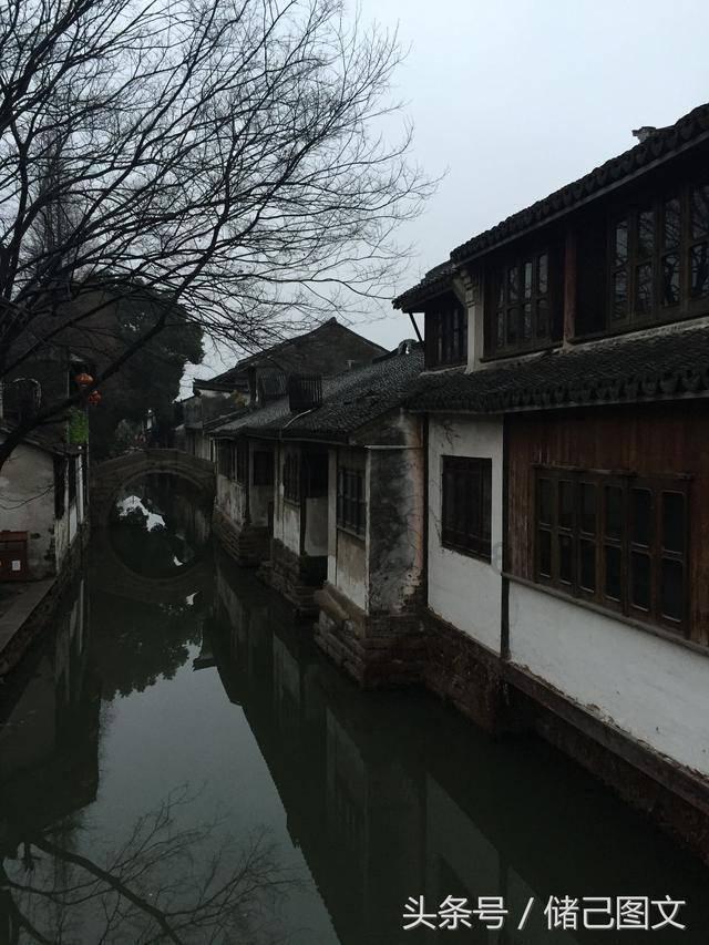 《全职高手》《无主之城》等7月热剧,总有一句台词打动你的内心