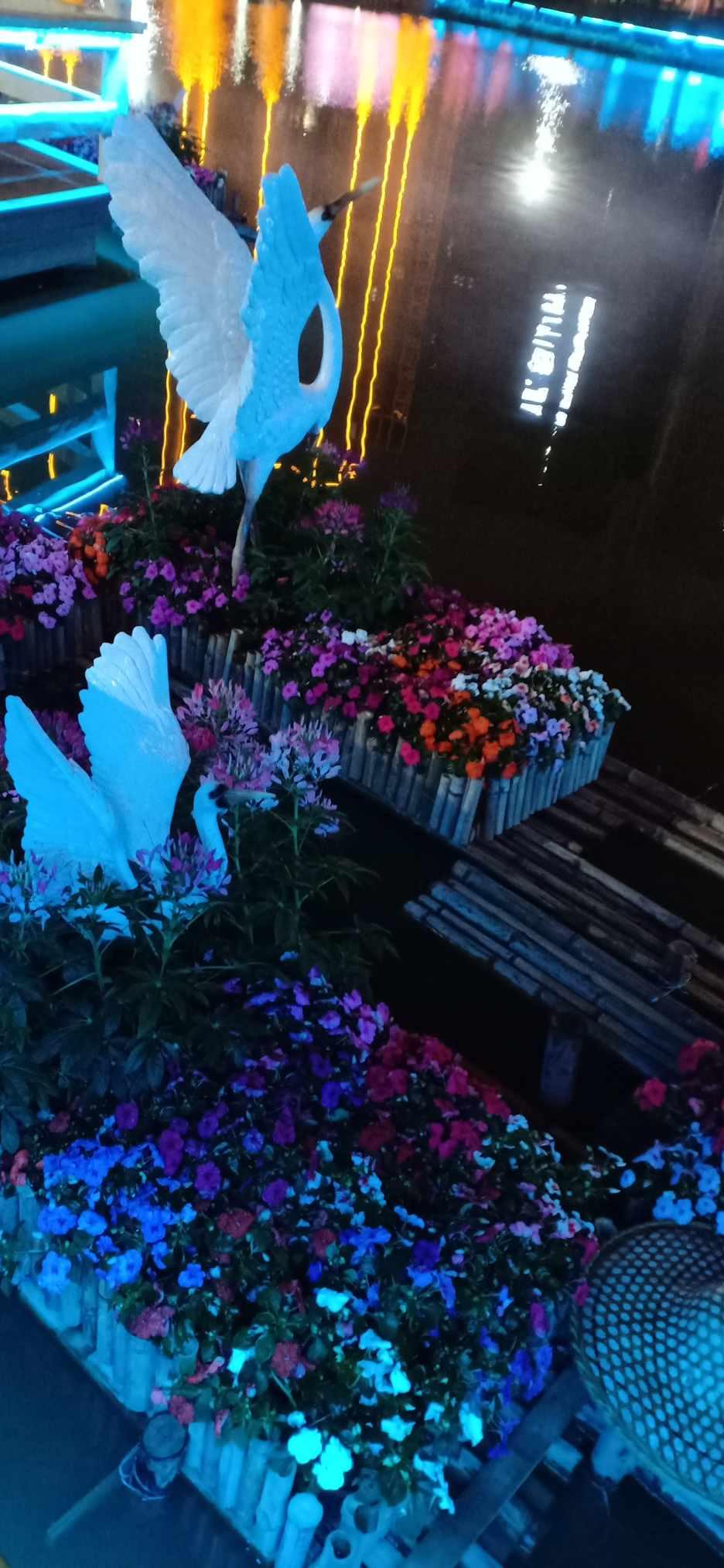 打好乒乓球如何了解球的旋转游戏画面