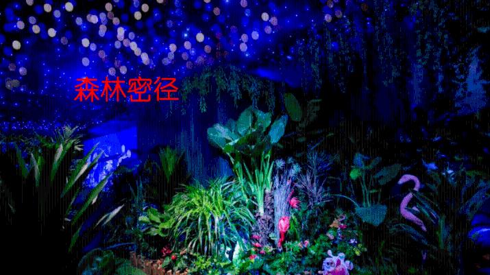 吴晓波：为什么我偏爱厦门